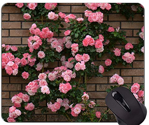 Gaming Mouse Pad Custom, Rosenbusch Ziegel Blume - Genähte Kanten