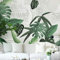 Tapete 3D Fototapete Südostasien Tropical Rainforest Plant Tapete Green Nordic Leaf Fototapete Schlafzimmer TV Hintergrund Tapete300cm×210cm