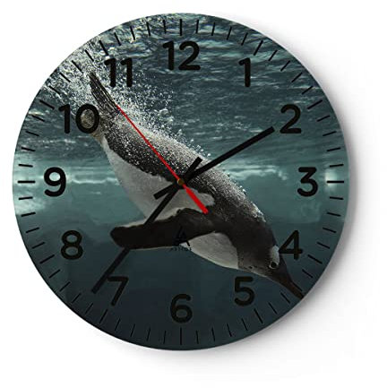 Modern Wanduhr Tauchen Pinguin Gletscher 40x40cm Rund Groß Wand Uhr Glas Analog Zimmeruhren Küche Büro Wohnzimmer Glasuhr Wall Clock Dekoration Design Wanddekoration Küchenuhr C4AR40x40-4189