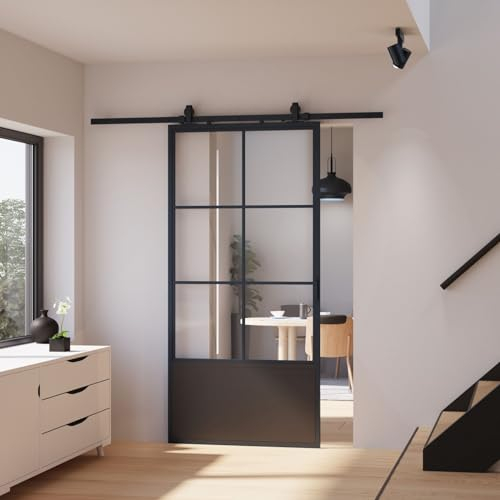 inova Glasschiebetür Komplettset 880x2035mm aus Stahl in schwarz mit Glaseinsatz