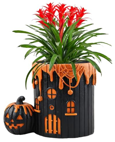 Generisch Maceta de Halloween | Maceta interior y exterior – para celebración, apartamento, salón, habitación de estudiantes, decoración