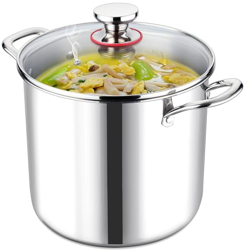LIANYU 10 Quart Stock Pot with Lid, 10 QT 18/10 Stainless Steel Soup Pot, Tri-Ply Heavy Duty Large Canning Pasta Pot, Big Deep Pot for Cooking, Nonstick Induction Stockpot with Measuring Mark
