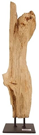 AquaOne Holz Deko Skulptur Oslo I Treibholz Naturholz Rustikal Mangrovenwurzel I Möbel Dekoration Natur Tischdeko I Handarbeit Teak Wurzel Unikat Modern