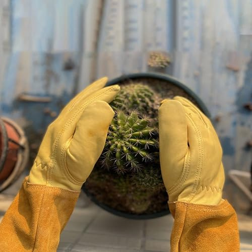 Gartenhandschuhe, dornensicher, Leder, Rosen/Brombeere/Kakteen, strapazierfähig, Gartenhandschuhe, Herren und Damen, Geschenk für den Garten (XL)