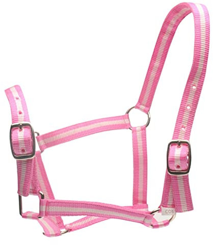 Roma Halfter und Führstrick Set – Rosa/Silber – Cob