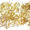 1000x Brass Nails | Small 10mm Pins