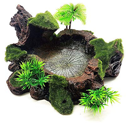 OMEM Gamelle en résine pour reptiles - Pour nourriture et eau - Décoration d'habitat - Pour terrarium - Humidifier - Bol d'eau