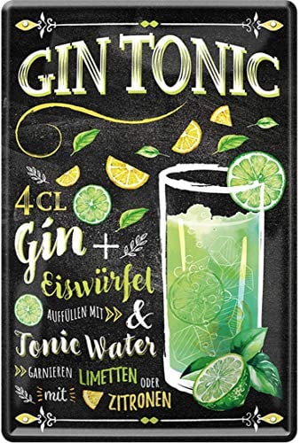 WOGEKA ART Retro Blechschild - Gin Tonic Cocktail Tonic Water Limetten Ice - witziger Spruch Geschenk-Idee zum Geburtstag Weihnachten Dekoration 20x30 cm Vintage-Design Metall 1060