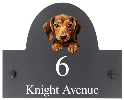 Personalisierbares Schild mit Dackel-Motiv, Schiefer, Hausname oder Nummer, 25 x 20 cm