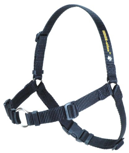 Softouch Concepts Sense-ation Hundegeschirr, ohne Ziehen, Größe M/L, Schwarz