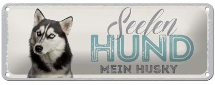 Femer Blechschild Spruch 27x10 cm Seelen Hund mein Husky Deko Schild