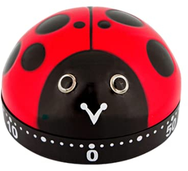 Pylones Timer Marienkäfer