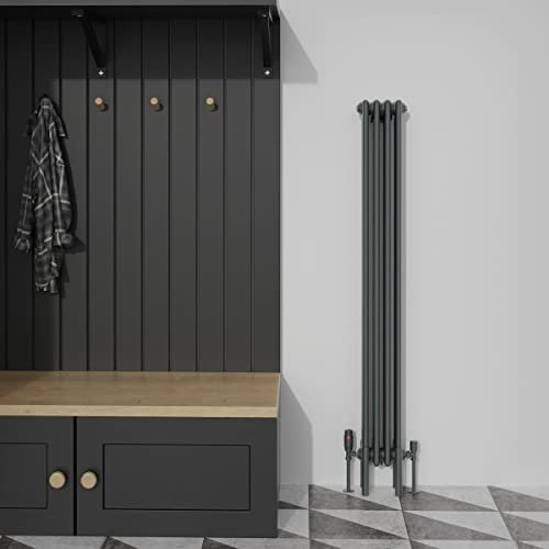 Warmehaus Radiateur vertical traditionnel en fonte à quatre colonnes Anthracite 1500 x 200 mm