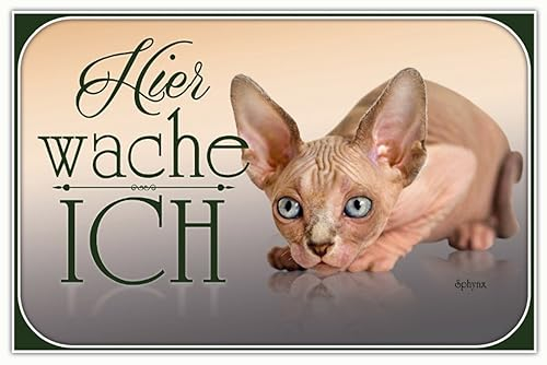 AGDeko® Blechschild Katze Sphynx hier wache ich Größe 30x20 cm
