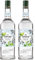 GIFFARD - Sirop Mojito - Recette et Fabrication Françaises - Rafraîchissant et Aromatique - 1 Litre (Lot de 2)