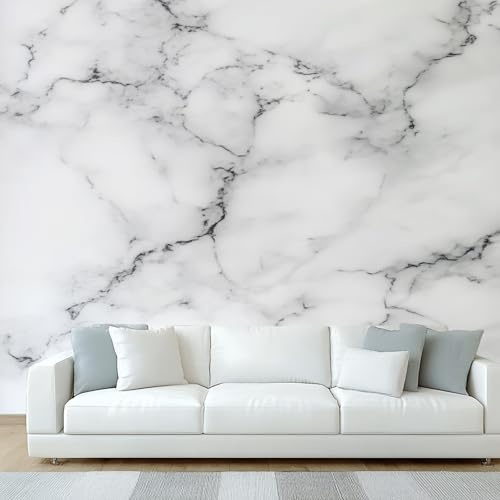 NOGAWA Papier Peint Motif Marbre Blanc Gris, 3D Panoramique Papier Peint Abstrait, Papier Mural Decoratif Pour Salon, Chambre, Tapisserie Murales, Décoration Murale 450x315cm