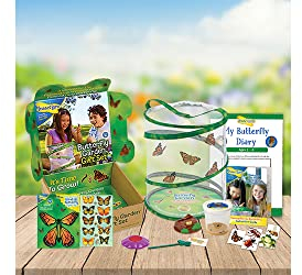 Insect Lore Butterfly Garden GIFT SET with 3-5 Caterpillars