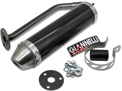 Auspuffanlage Giannelli Endtopf Carbon mit ABE für Beta