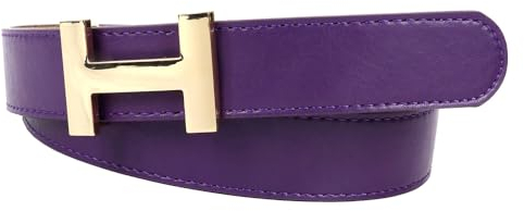 Zakatte • Damen Gürtel aus Kunstleder mit H-Schnalle Hüftgürtel Taillengürtel Damengürtel BS058 (Lila-Gold, 90 cm)