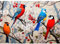 Jigsaw Puzzles for Adults 1000, Puzzles for Adults, Challenging Puzzles, Puzzle Game for The Whole for Women, Gifts for Men, Theme:Birds on Branch