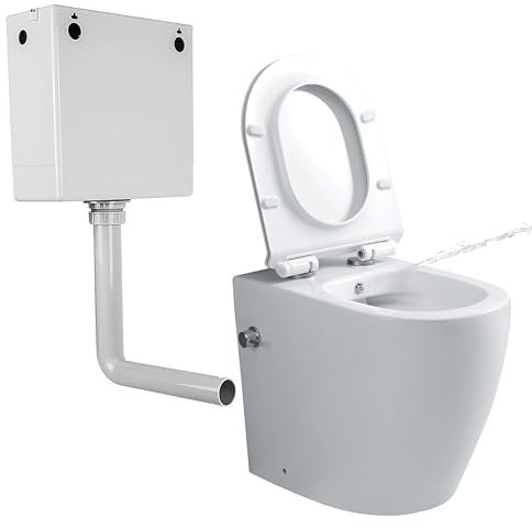 Comfort Height Back to Wall Toilet with Bidet Concealed Cistern All in One Integrated Combined Bidet Toilet BTW Rimless Bathroom Toilets Ceramic WC Pan Soft Close Seat Compact WC