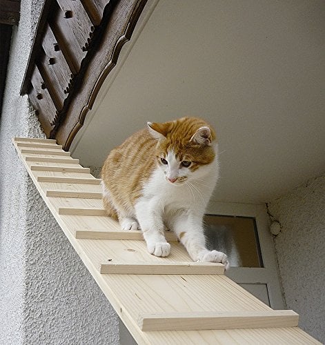 Elmato 13015 Katzentreppe 1 – 4 Meter erweiterbar (3 Meter mit 2 Verbindungsstücken)
