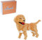 Larcele 824 Stücke Mikro Bausteine Spielzeug Kit, Mini Tier Bricks Bauen Bauklötze Satz KLJM-05(Golden Retriever) Mehrweg