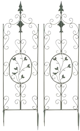 CLP 2er Set Pflanzen-Rankgitter Burgus Aus Eisen I Rankhilfe Für Kletterpflanzen Im Landhausstil, Farbe:antik-grün