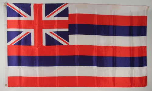 Buddel-Bini Flagge Fahne ca. 90x150 cm : Hawaii