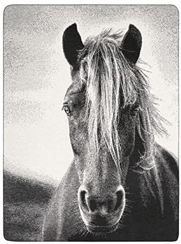 Biederlack Kinder und Jugenddecke, Silver, 150x200