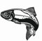 2 x Forelle Aufkleber 20cm Angler Angelboot Sticker Boot Boote Beschriftung Bug Heck Fische Angeln Schlauchboot Nautic See Fischer