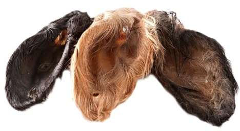 123... Hund dabei! - Kalbs-/Rinderohren mit Muschel und Fell XXL, schonend getrocknet, gut verträglich, natürliche Magen-Darm Reinigung (50)