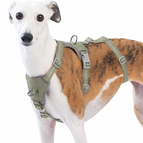 Huntboo Sicherheitsgeschirr Hund Ausbruchsicher, Panikgeschirr für Hunde, Anti Zug Hundegeschirr, Reflektierend, Verstellbare, Leichte Weste für kleine, mittelgroße und große Haustiere (Armeegrün,M)