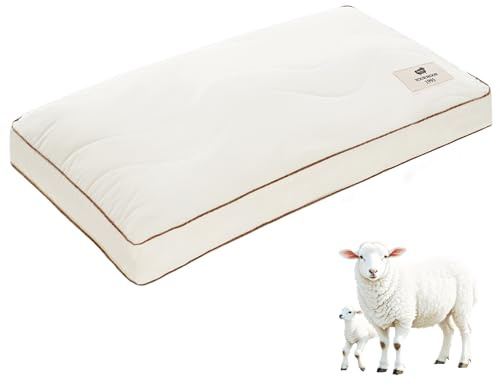 YOUR MOON Bio-Schafschurwolle Kopfkissen 40x80 cm – Mittelharte Kissen Stützkraft Wollkissen, Atmungsaktiv – Bezug aus 100% Bio-Baumwolle – Oeko-TEX Standard 100, Cremeweiß