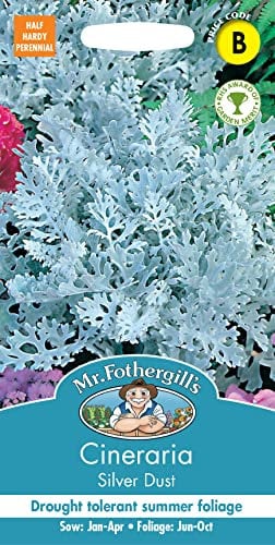 Mr Fothergill's 21954 Flower Seeds, Cineraria Silver Dust
