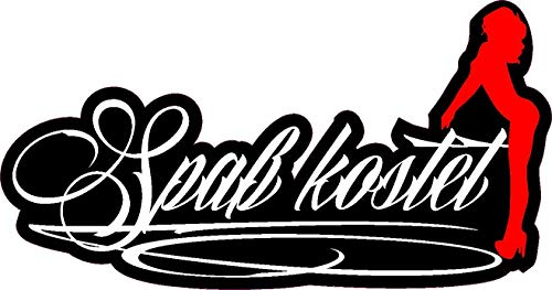 1 x Aufkleber Spaß Kostet Sticker Autoaufkleber Sex Sexy Tuning Auto Shocker Fun