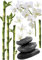 Plage Decoración Mural Adhesiva con Diseño Zen Bambús Orquídeas, Vinilo, Multicolor, 48x68 cm