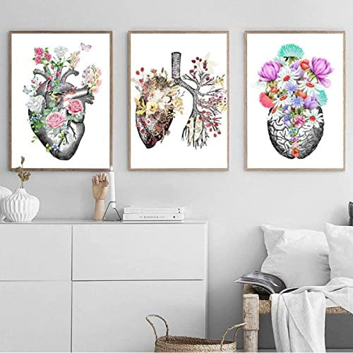 HTWLMM Anatomie Medizin Aquarell Blumen Leinwand Malerei Organe Herz Gehirn Bilder Poster Kunstdruck Wandbilder für Krankenhaus Klinik Deko Rahmenlos (A,3X50X70CM)