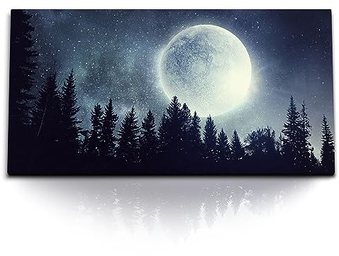 Paul Sinus Kunstdruck Bilder 120x60cm Vollmond Mond Sterne Sternenhimmel Tannenwald Nacht