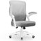 Topiake Bürostuhl, Schreibtischstuhl Ergonomisch mit Einstellbarer Lendenstütze, Klappbaren Armlehnen, Drehstuhl mit Wippfunktion, Höhenverstellbarer Schreibtischsessel, Bürostuhl 150kg, Grau
