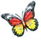 HpLive 3D Metall Schmetterling Wanddekoration, Lebensechte Gartendeko für Innen & Außen, Bunte Schmetterlinge aus Eisen, 16,5 x 12,5 cm(1pc)