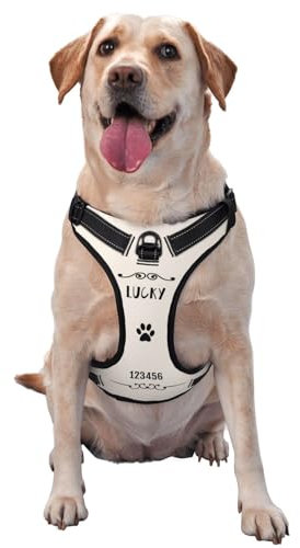 Personalisiertes Anti Zug Hundegeschirr mit Name, Personalisiertes Hundegeschirr mit Name und Telefonnummer für Kleine, Mittelgroße und Große Hunde