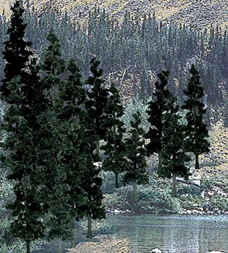 Value Trees, Conifer 4-6 (24)