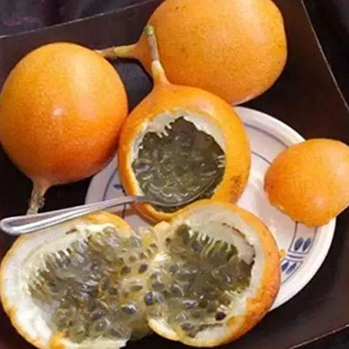 Haloppe 10 piezas de semillas de fruta de la pasión para plantar en el jardín del hogar, semillas de fruta de la pasión semillas de nuez de Brasil para granja 10 por ciento