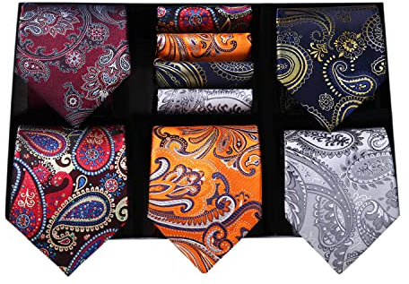 HISDERN Paisley Krawatten und Einstecktuch Set für Herren Lot 5 Stück Klassische Krawatte Männer Hochzeit Seidenkrawatte Einstecktuch mit Geschenkbox