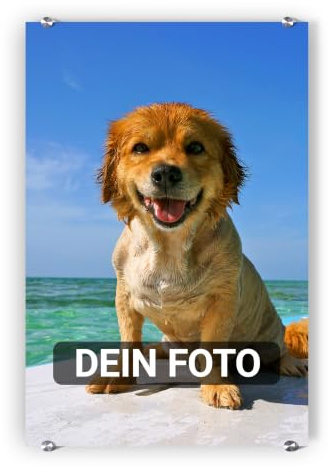 artboxONE Pixum Acrylglas 120 x 80 cm (hoch) eigenes Foto als Acrylglas - Acrylglasbild mit Wunschmotiv - Personalisierbares Geschenk