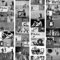 murando PREMIUM PURO Tapete Realistische Tapete ohne Rapport und Versatz 10m Vlies Tapetenrolle Wandtapete modern design Fototapete Banksy f-A-0237-j-c