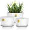 Homeuouz 3 Pack Plastic Plant Pots,30/25/23CM,Large Plant Pots Indoor Flower Pots with Drainage Holes Saucer and Reservoir for All House Plants(White Speckles)