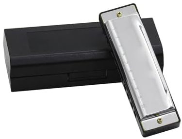 Mundharmonika-Set Blues Mundharmonika Mundharmonika In G-Tonart 10 Löcher, 20 Töne, Diatonisch, Mit Etui(Silver)