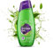 Green Tea Shower Gel Body Wash – 250ml | With Skin-Purifying Green Tea & Detoxifying Coriander | 100% Vegan, Soap-Free, Sulphate & Paraben-Free | For All Skin Types